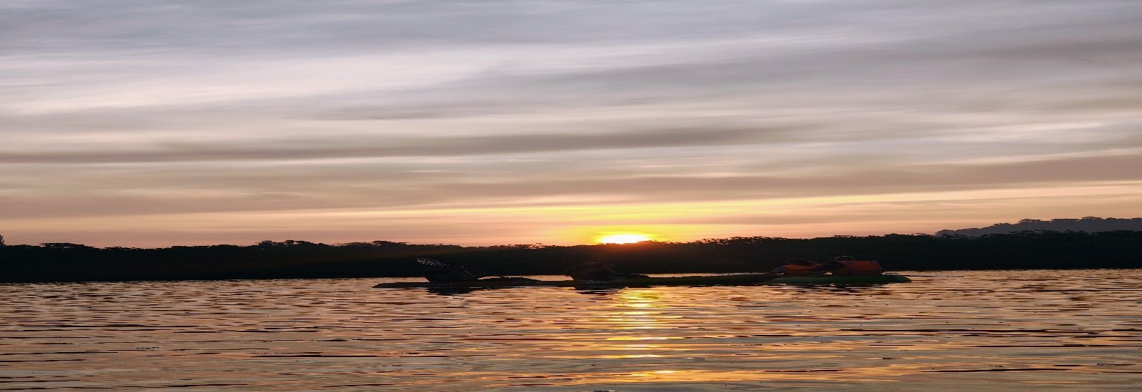 Sunset & Mangrove Kayaking
